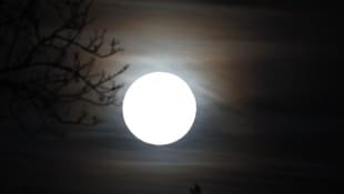 Vollmond: Silberner Zauber oder selektive Wahrnehmung?
