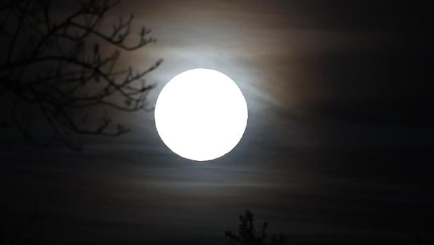 Vollmond: Silberner Zauber oder selektive Wahrnehmung?