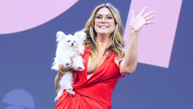 Heidi Klum genießt ihren Sommerurlaub. Der kleine Hund Fritz ist dabei stets an ihrer Seite.