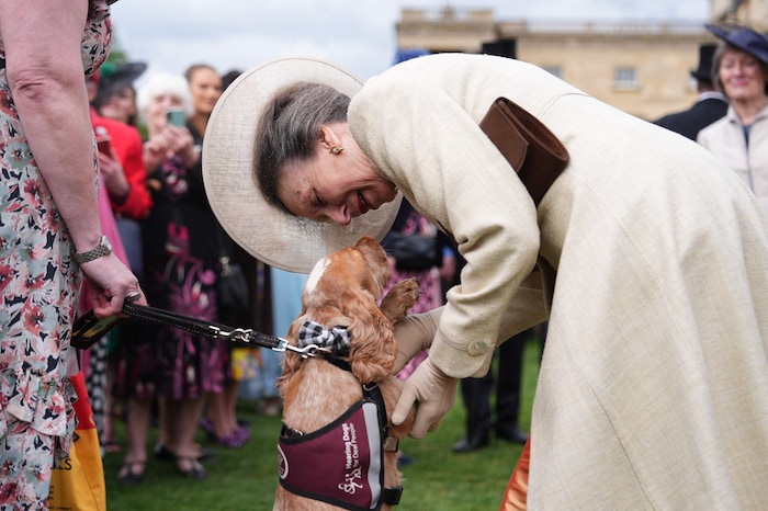 Prinzessin Anne und Cockerspaniel „Vegas“ verstanden sich auf Anhieb!