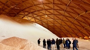 Mit einer Spannweite von mehr als 120 Metern ist der „Saldome II“ eine der größten freitragenden ...