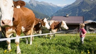 Der Strukturwandel in der Landwirtschaft geht weiter. 