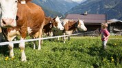 Der Strukturwandel in der Landwirtschaft geht weiter. 