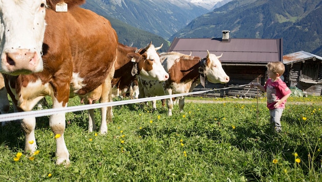 Der Strukturwandel in der Landwirtschaft geht weiter.
