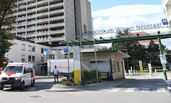 Das alte Wiener Neustädter Universitätsklinikum soll durch einen Neubau am Stadtrand ersetzt ...