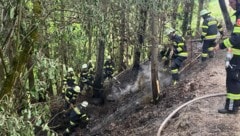 Rund 100 Einsatzkräfte rückten aus. 