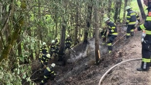 Rund 100 Einsatzkräfte rückten aus. 