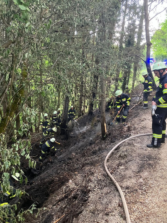 Die Florianis graben den Waldboden um und beseitigen so die Glutnester.
