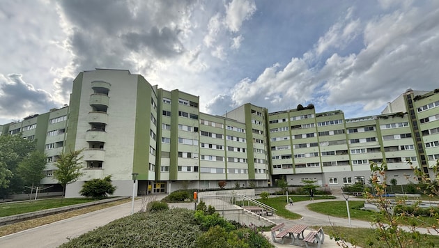 Seit 46 Jahren lebte das Ehepaar in der Wohnanlage Biesenfeld in Linz-Urfahr.