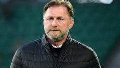 Ralph Hasenhüttl