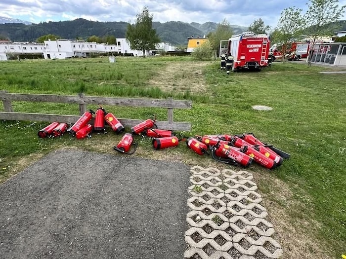 Die Löschversuche mit Handfeuerlöschern misslangen.