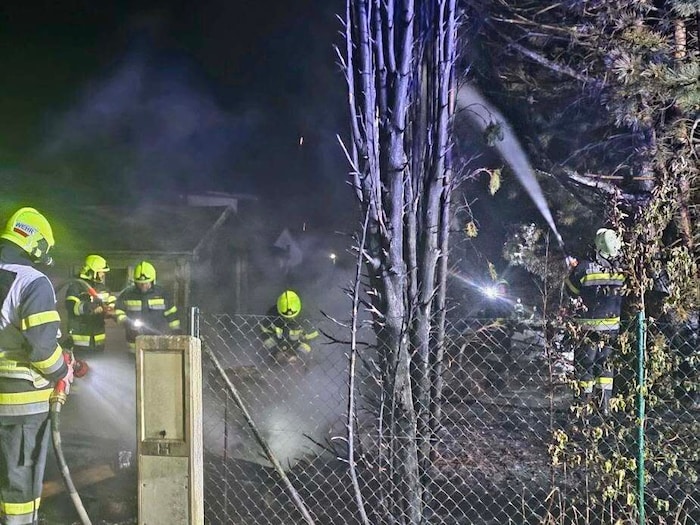 Eine Hecke sowie angrenzender Baumbestand standen in Flammen.