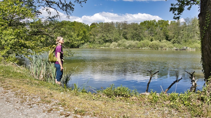 An idyllischen Teichlandschaften vorbei geht es retour nach Stubenberg.