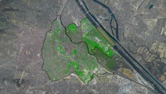 Die Auswertung der Daten zeigt, dass es ohne Augarten und Prater noch schlechter um den ...