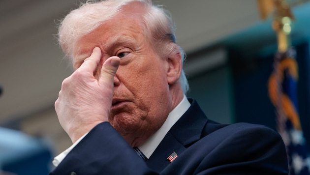Im vergangenen Jahr verglich Trump die KI-Branche mit einem „wunderschönen Baby“, dessen ...