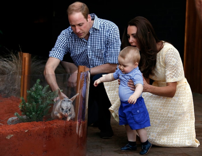 Prinz William und Prinzessin Kate zeigen Baby-Prinz George einen Dilby.