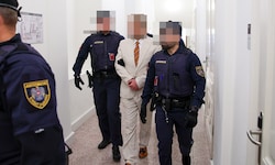 Zum ersten Verhandlungstag im Landesgericht erschien Wolfgang W. im hellen Anzug samt bunter ...