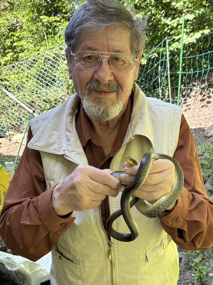 Reptilienexperte Hans Esterbauer ist als Vortragender eines Kurses im Einsatz.