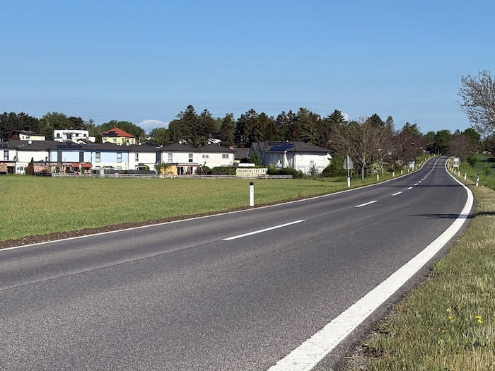 Wimpassing an der Leitha liegt am Fuße des Leithagebirges. Goldschakale bevorzugen ...