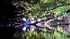 Im Salzachsee, der vor allem bei Spaziergängern und Anglern beliebt ist, wurde am Freitagabend ...