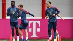 Alphonso Davies (l.) hat sich erneut verletzt.