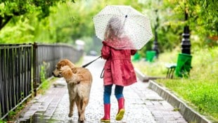 Die Eisheiligen bringen einen ordentlichen Wetterumschwung in ganz Österreich.