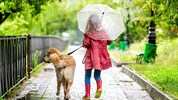Die Eisheiligen bringen einen ordentlichen Wetterumschwung in ganz Österreich.