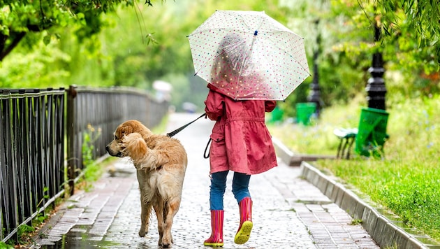 Die Eisheiligen bringen einen ordentlichen Wetterumschwung in ganz Österreich.