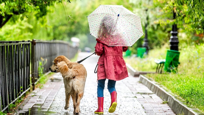 Die Eisheiligen bringen einen ordentlichen Wetterumschwung in ganz Österreich.