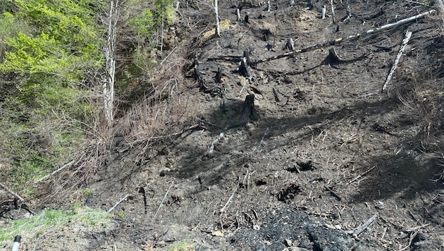 Das ganze Land hat geschockt auf den riesigen und lange andauernden Waldbrand im Lesachtal ...