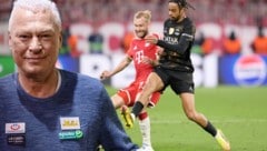 Konrad Laimer (Mitte) erhält Rückendeckung von Legende Toni Polster.  