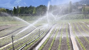 Die meisten Landwirte werden von der Meldepflicht wohl ausgenommen sein, nur wer wirklich viel ...