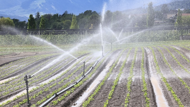 Die meisten Landwirte werden von der Meldepflicht wohl ausgenommen sein, nur wer wirklich viel ...