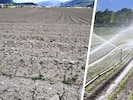 Mit künstlicher Bewässerung helfen sich Tirols Bauern derzeit über die lange Trockenheit hinweg.