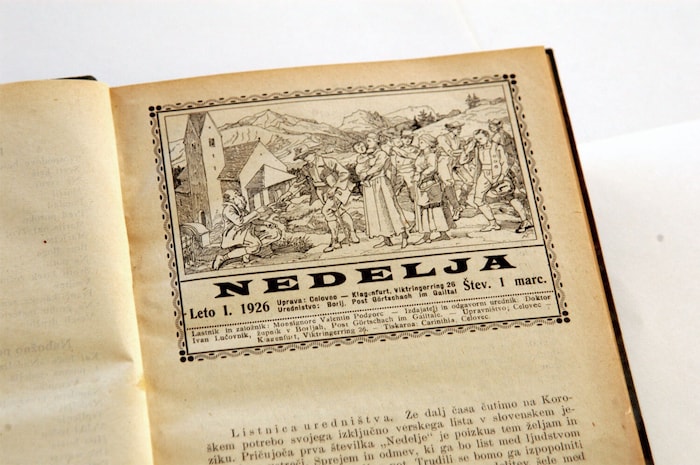 Vor 100 Jahren zierte diese Zeichnung die Nedelja.