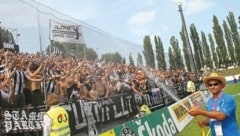 Legendär! 2011 jubelte Sturm mit 5000 mitgereisten Fans in Wr. Neustadt über einen 2:1-Sieg.
