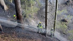 Das ganze Land hat geschockt auf den riesigen und lange andauernden Waldbrand im Lesachtal ...