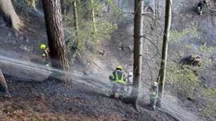 Das ganze Land hat geschockt auf den riesigen und lange andauernden Waldbrand im Lesachtal ...