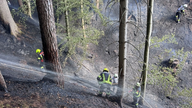 Das ganze Land hat geschockt auf den riesigen und lange andauernden Waldbrand im Lesachtal ...