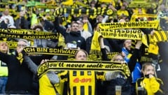 Mehr als 81.000 Fans unterstützen den BVB Woche für Woche.