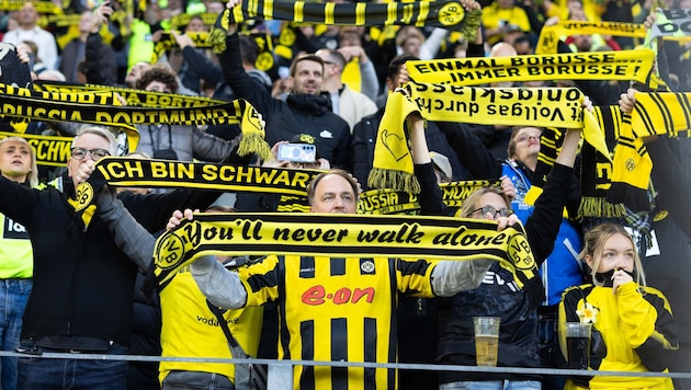 Mehr als 81.000 Fans unterstützen den BVB Woche für Woche.