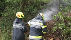 Ein Baum hatte im Murtal am Samstag Feuer gefangen, die Feuerwehr konnte durch rasches ...