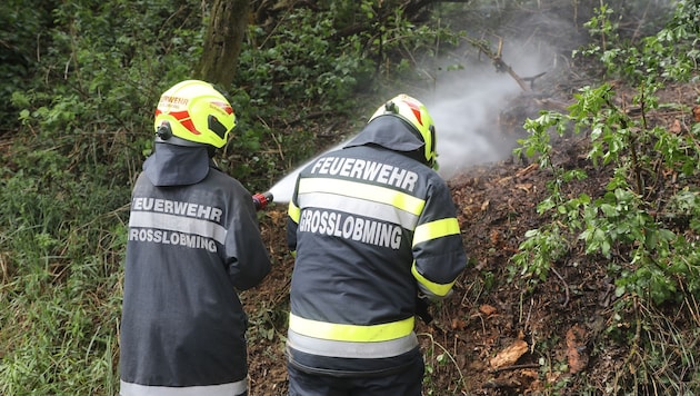 Ein Baum hatte im Murtal am Samstag Feuer gefangen, die Feuerwehr konnte durch rasches ...