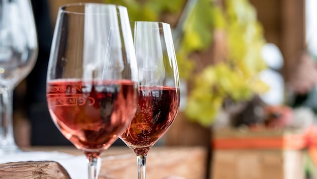 Die Veranstaltungsreihe „Kultur bei Winzerinnen & Winzern“ geht in ihre siebte Saison.