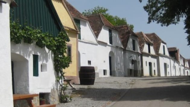 Typische Weinviertler Kellergasse in Mailberg