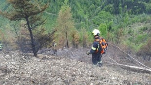 Die Feuerwehr suchte zuletzt vor allem Glutnester im unwegsamen Gelände.