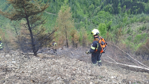 Die Feuerwehr suchte zuletzt vor allem Glutnester im unwegsamen Gelände.
