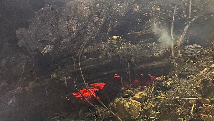 Die Suche nach Glutnestern beschäftigte die Feuerwehr vor allem in den letzten Tagen.