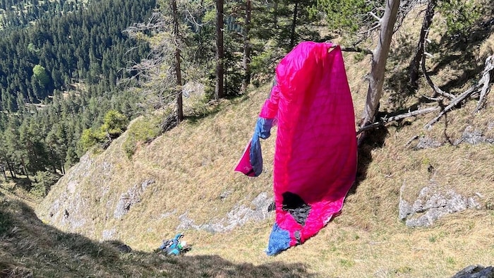 In diesem Baum hatte sich der Schirm des Paragleiterduos verfangen – zum Glück!