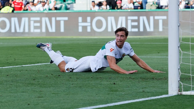 Auch David Affengrubermuss zittern.